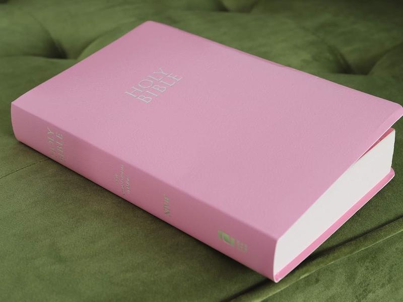 NIV, Gift and Award Bible, Leather-Look, Pink, Red Letter, Comfort Print Paperback – March 5, 2019