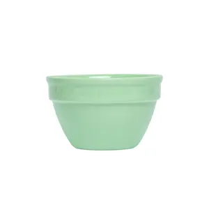 Fish's Eddy Colorware Bowl in Mint