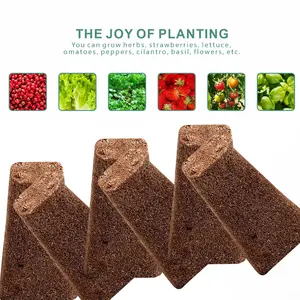 50 Pcs Starter Plugs Indoor Garden Hydroponic System, Replacement Grow Sponges Plant Plugs, Promotes Herbs, Vegetables and Flowers Growth