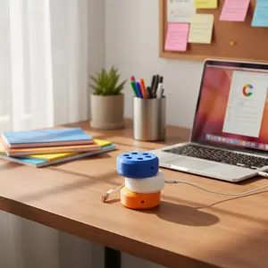 Cable Winder Organizer