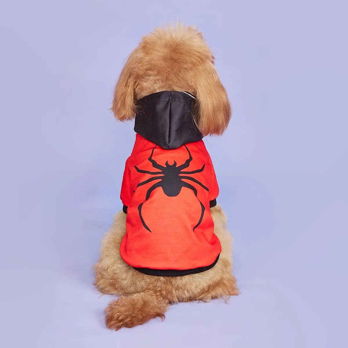 Cute Spider Print Pet Hoodie, Halloween Themed Pet Sweatshirts, Pet Costumes, Outfits for Small Medium Large Dogs, Poodle & Cats, Husky Clothes