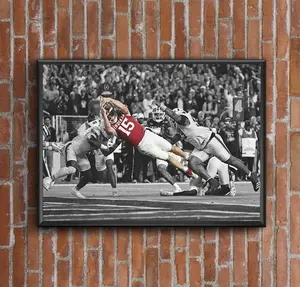 Fernando Mendoza Touchdown One Of The Hardest Moment In College Football Poster