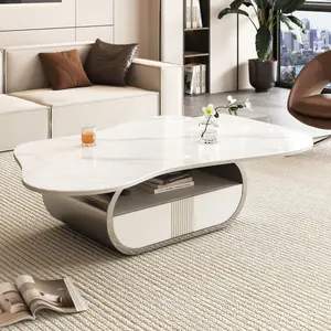 Modern Coffee Table Living Room Center Table with Sintered Stone Top, Butterfly Oval Center Table with Storage Shelf & Drawer, Stainless Steel Base & MDF Cabinet