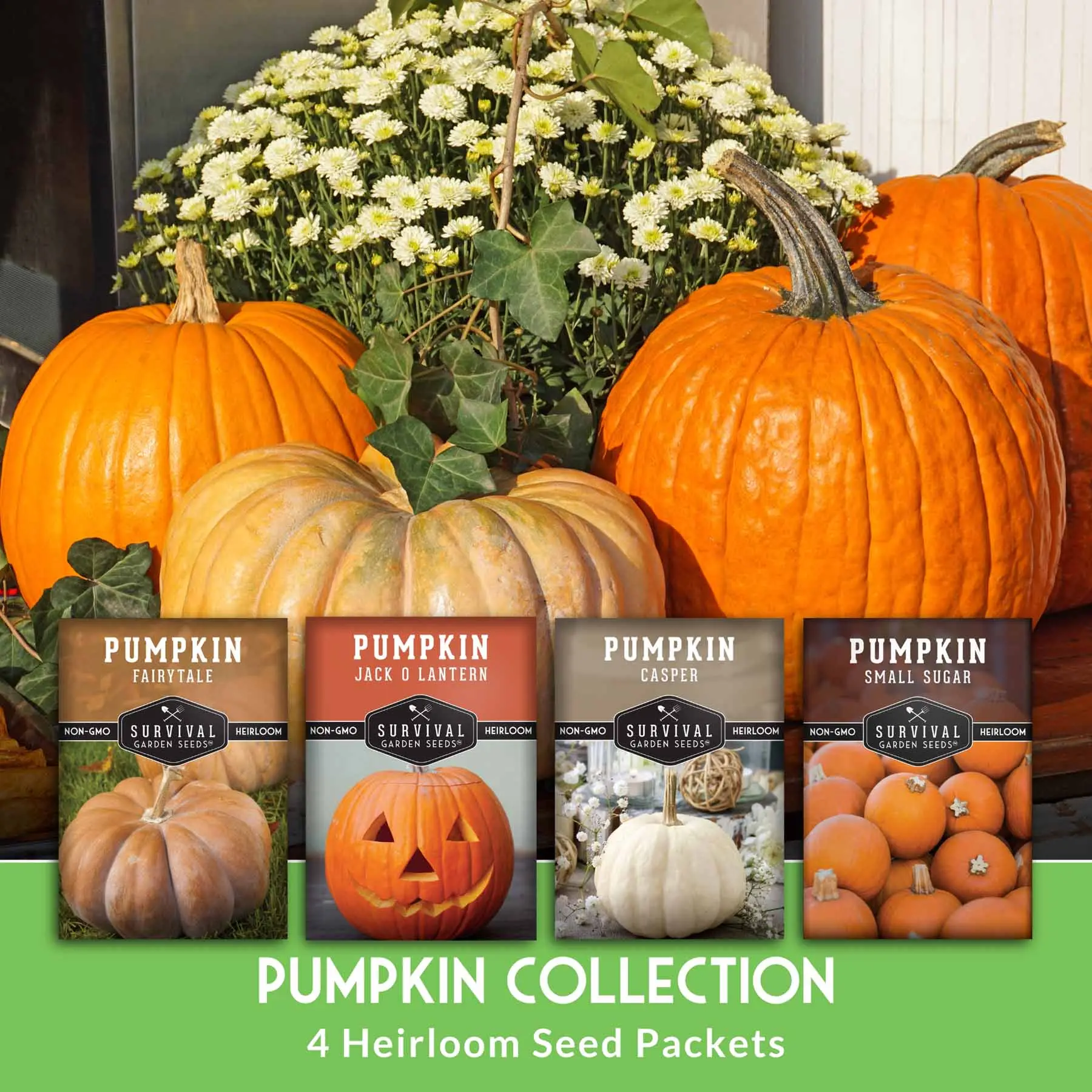 Pumpkin Collection Seed Vault - Casper, Fairy Tale, Jack O'Lantern, Small Sugar Halloween Decorative