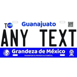 Custom Guanajuato '20 cases/license plates