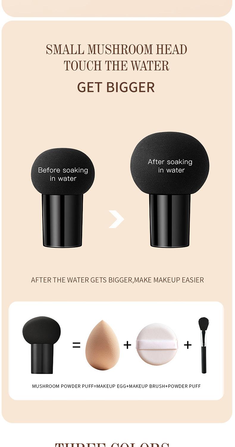 Air Mushroom Cushion BB Cream — Natural Finish, Non-Cakey, Brightening Foundation — Concealing, Long-Lasting, and Smudge-Proof