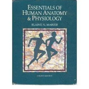 USED-Essentials of Human Anatomy & Physiology (Benjamin/Cummings Series in Human Anatomy and Physiology) by R.N. Marieb Elaine N. (Hardcover)