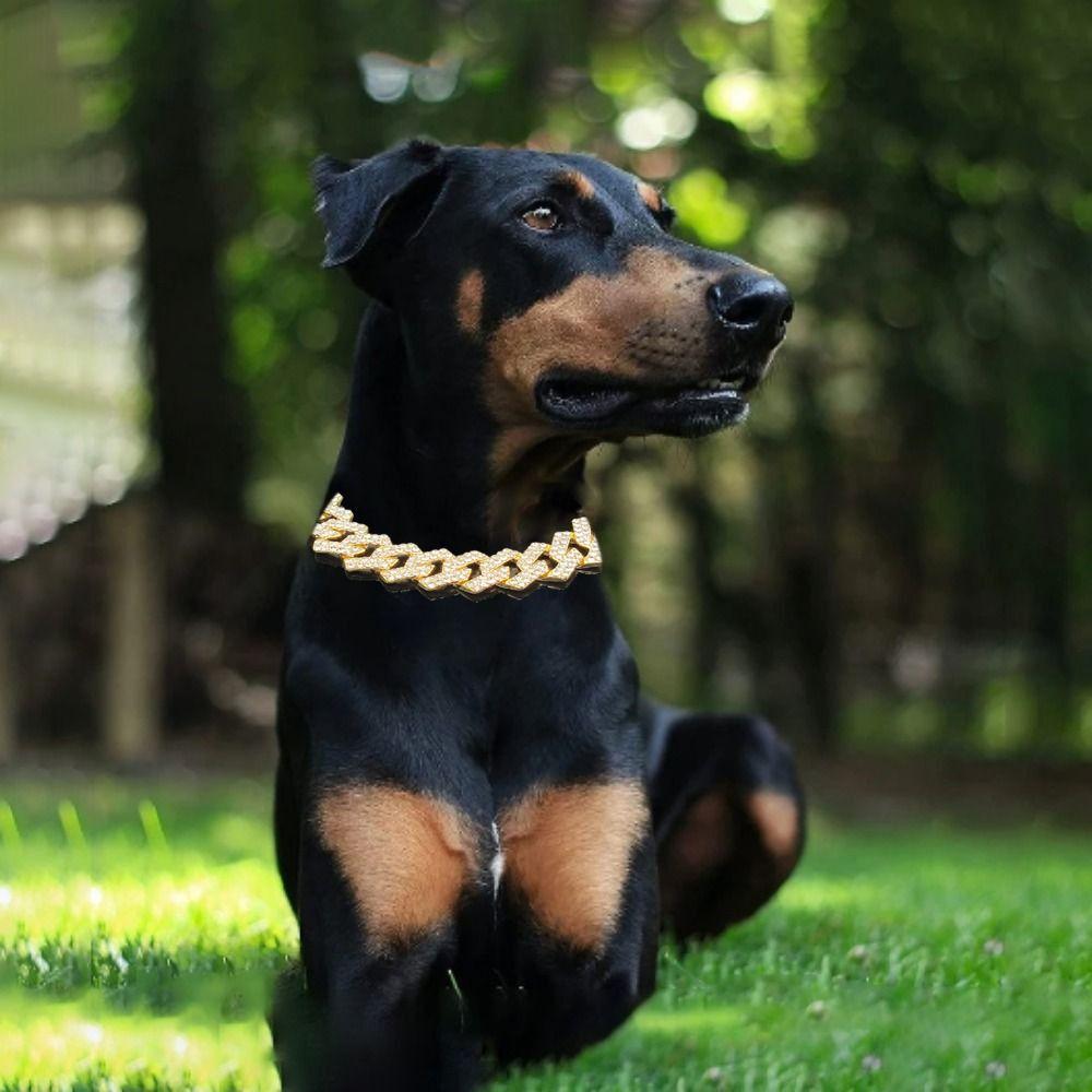 Luxury Dog Chain Collar with Diamonds