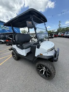 2026 Denago EV Nomad XL | Street Legal Golf Cart [NEW]