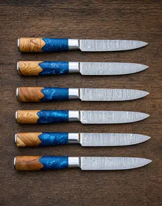 Handcrafted Damascus Steel Steak Knife Set in Resin Handle