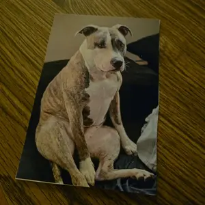 Personal postcard