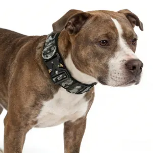Tactical Dog Collar with Metal Buckle, Adjustable Heavy-Duty Outdoor Training Collar, Durable Gripping Design, Model Xinghao Cwpj