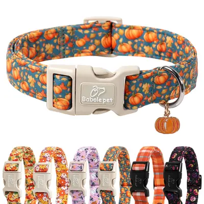 Pumpkin Patch Dog TikTok Shop