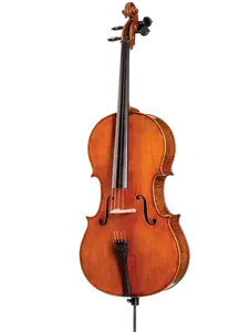 D Z Strad Cello - Model 700 - Cello Outfit w/ Case & Bow (1/2-4/4)