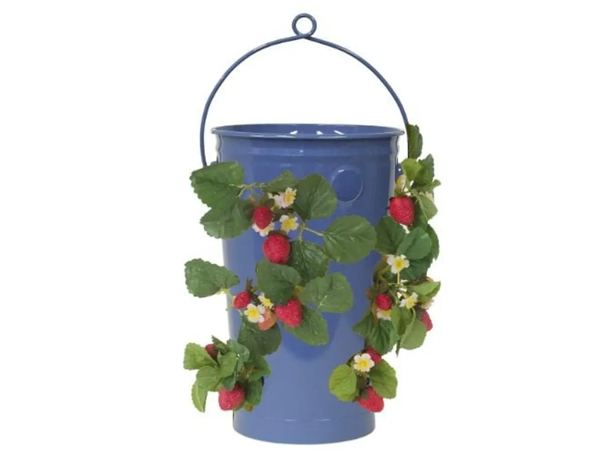Enameled Galvanized Strawberry & Flower Planter, Blue