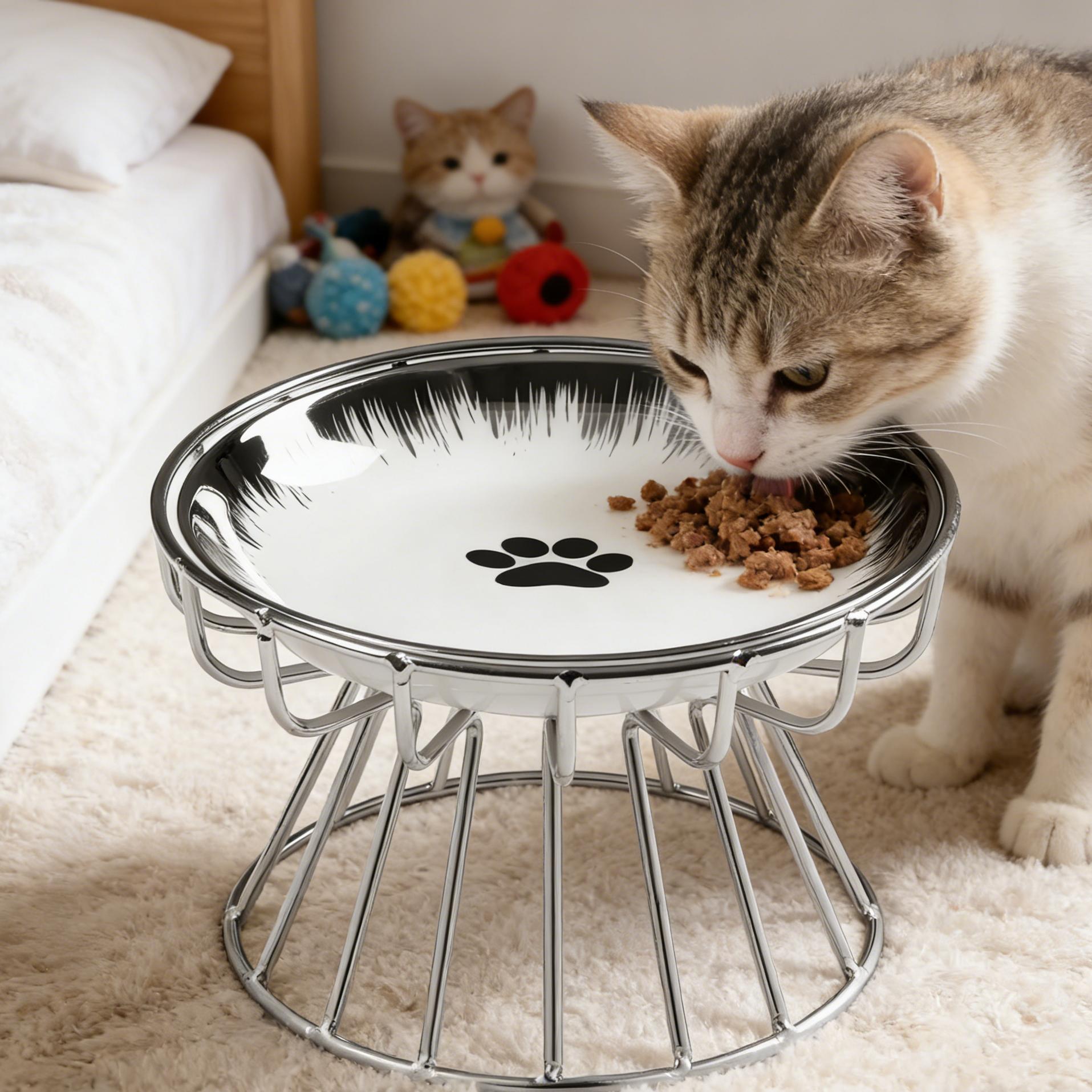 Elevated Cat Bowl,  Raised Ceramic Cat Dish , Whisker Friendly Pet Water or Food Plate Feeding Station for Indoor Cats, Kittens
