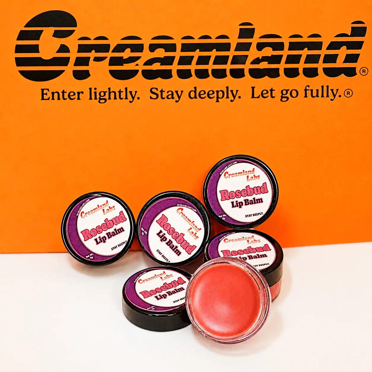 Rosebud Lip Balm | Pack of 5 | 5ml Jars