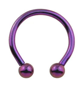 Purple Titanium Circular Barbells