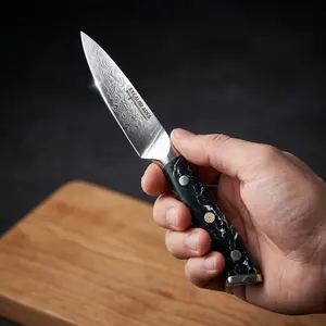 4-Inch Paring Knife – VG-10 Damascus Steel, Full Tang