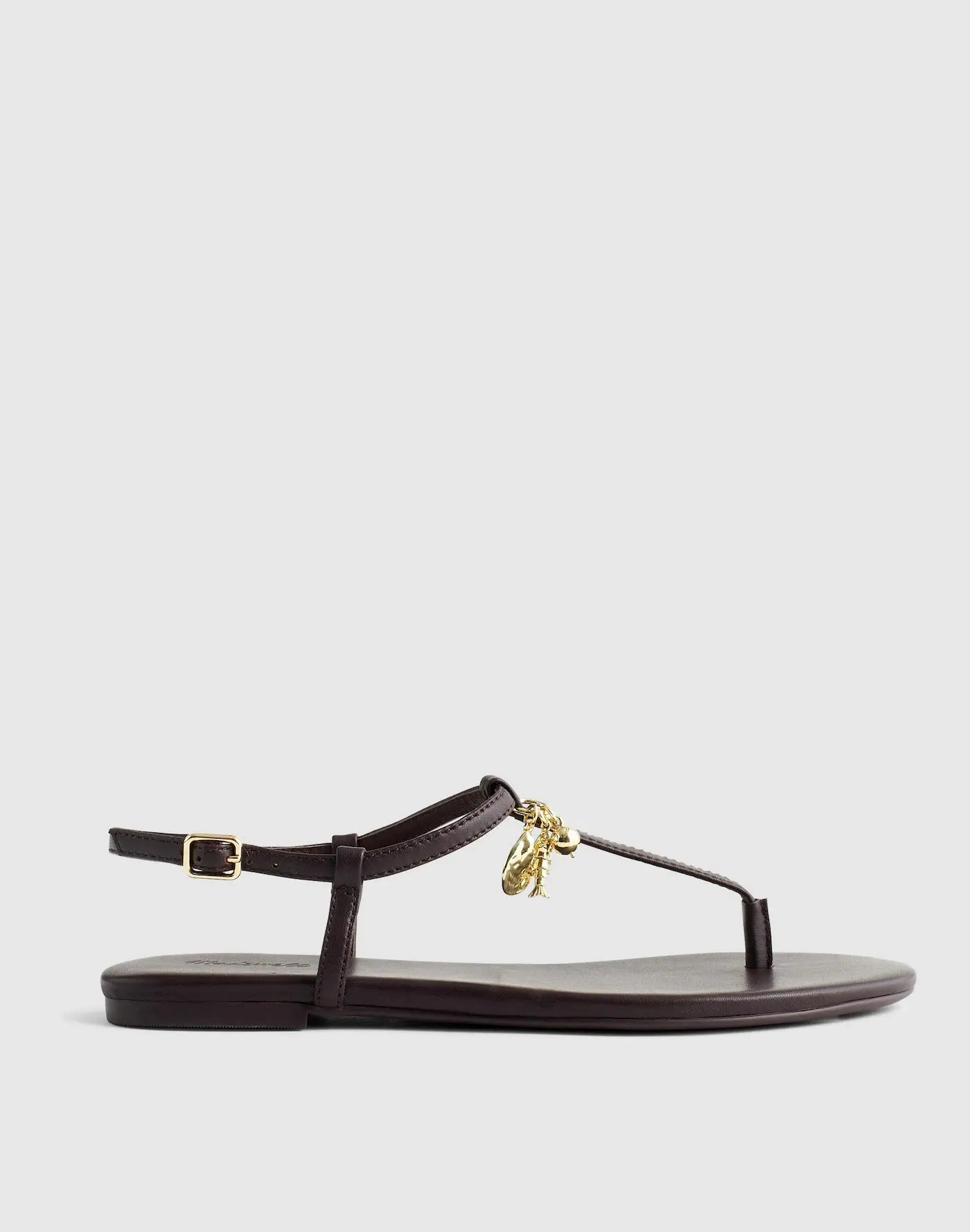 Madewell x Shopbop Iggy Charm T-Strap Sandal in Leather