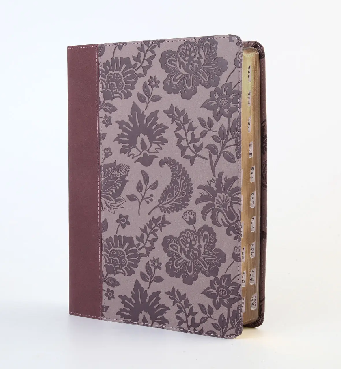Simplified KJV--Large Print [Plum & Paisley] Modern Daily Devotional Journal English