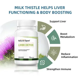 Naturespan Silymarin and Curcumin, Dietary Supplement to Support Liver Health, Antioxidants, Detoxification, and Liver Function 60 Capsules Edible Healthcare Fitness