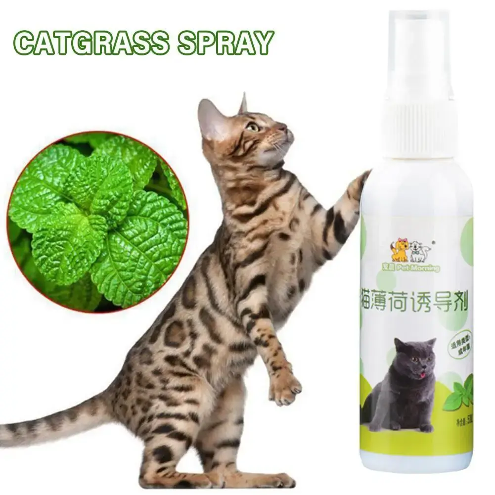 50ml Natural Catnip Oil Spray for Cats - Training Aid, Induces Play, Reduces Stress, Safe for Scratching Posts, Encourages Healthy Habits, 3-Month Long-Lasting Effect