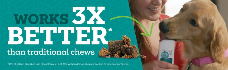 Vetality Twist+Lick Well Gel Calming for Dogs