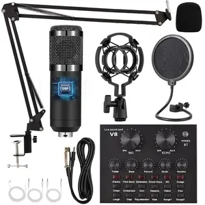 Professional Wireless Live Sound Card Equipment, Multifunction BT Connection BM-800 Microphone Set for Mobile Phone, Computer, Notebook, DJ Sound Control Equipment, Adjustable, Audio Mixer Kit