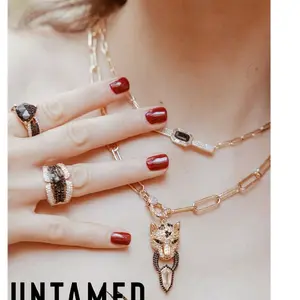 Untamed collection earrings necklaces rings various styles and metals.  preorder today.