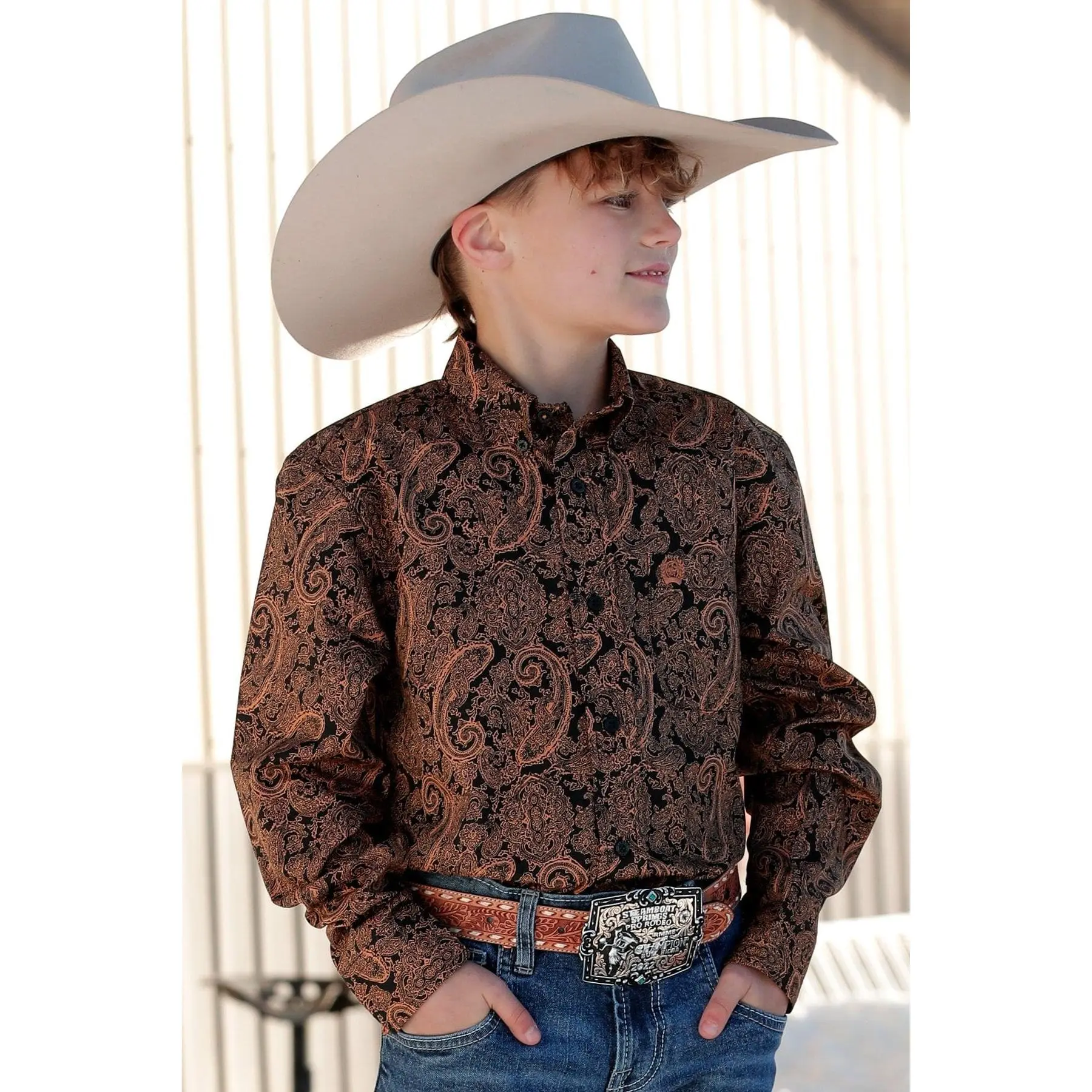 Men's Paisley Print Shirt in Plain Weave Cotton, Casual Western Long Sleeve Button-Down with Embroidered Pocket, Casual Button Collared, Woven