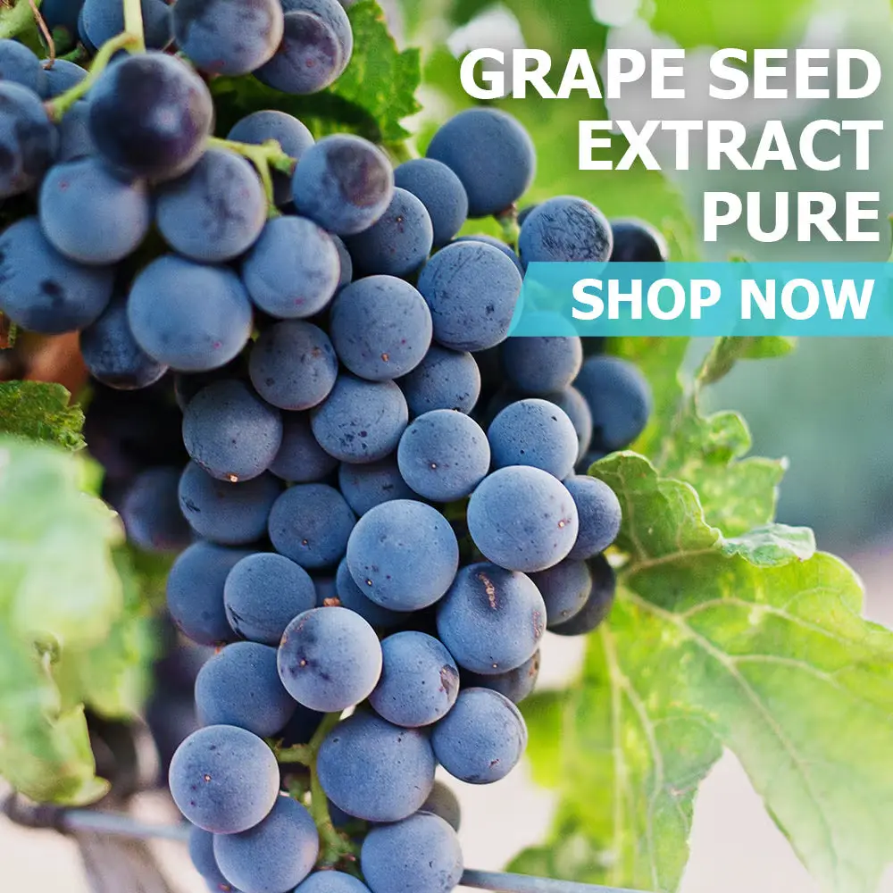 Grape Seed Extract Powder Pure Healthcare Vitamin Dietary Supplement Fitness