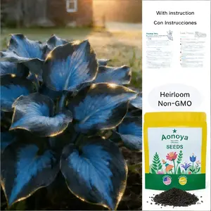 Aonoya Hosta Seeds Perennial Shade Plant for Garden and Yard Heirloom Non-GMO Easy to Grow with Instructions Con Instrucciones