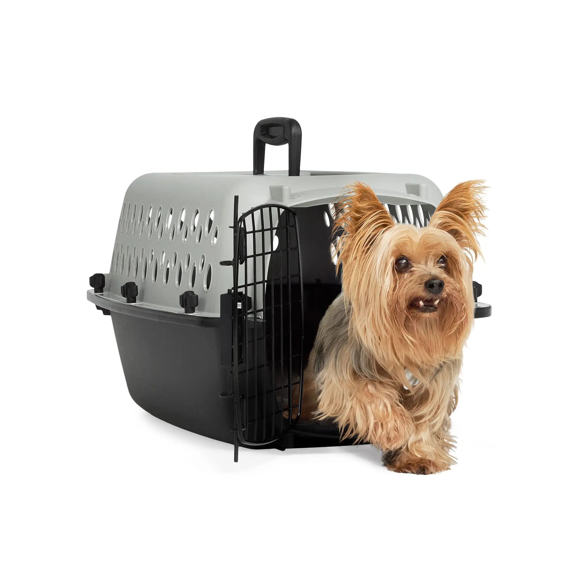 EveryYay Portable Plastic Pet Kennel