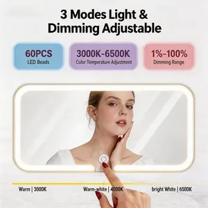 2PCS-Portable Car Makeup Mirror with Sunshade, Rechargeable LED Touch Screen Car Mirror,  Smart LED Charging Function