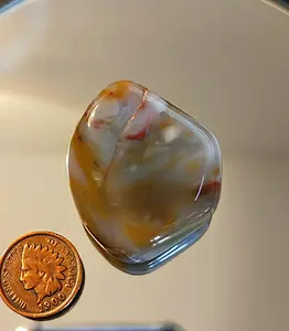 Polished 41x35x15mm 156ct Arizona Petrified Wood Specimen