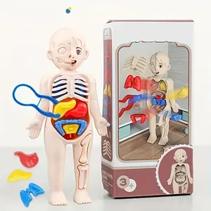 Human organ skeleton model suitable for children, assembled 3D 3D medical teaching aid toy, Visual Learning Tools, perfect for science education and learning internal organ anatomy.