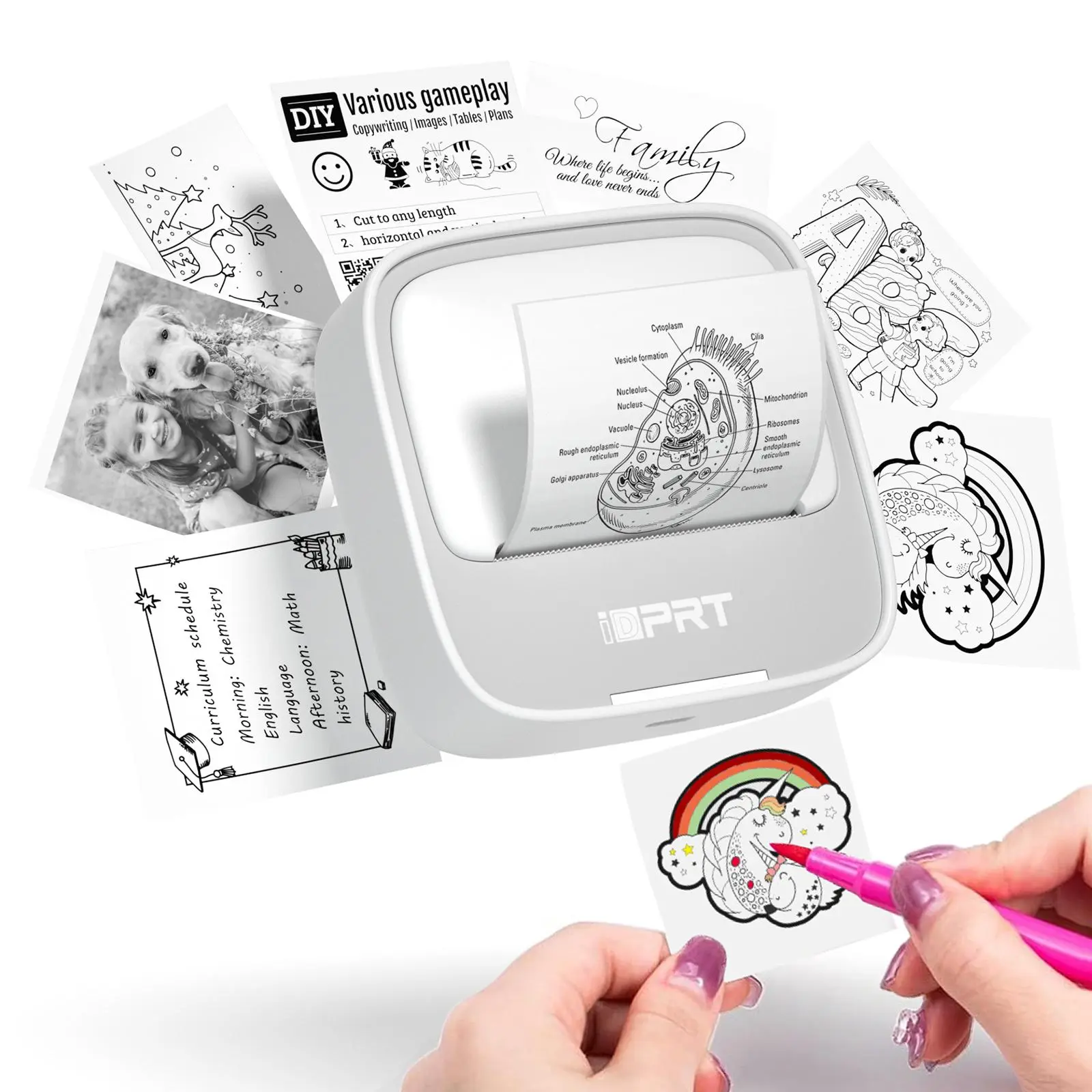 iDPRT Mini Printer with 1 Roll Sticker Paper, Portable Sticker Printer Efficiently and Quickly, Thermal Printer for Study Notes, Pictures, DIY, Label, Free App with Multiple Templates Printer