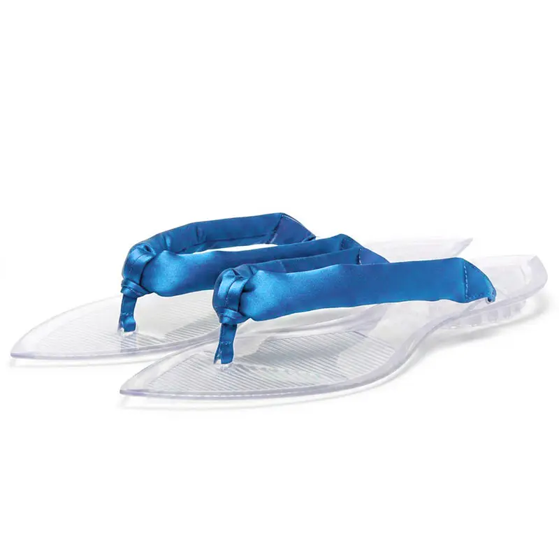 ReneChristine Fashion Pointed Toe Clear Sole Flip Flops, Elegant Padded Strap Flat Thong Sandals tiktokshopbacktoschool