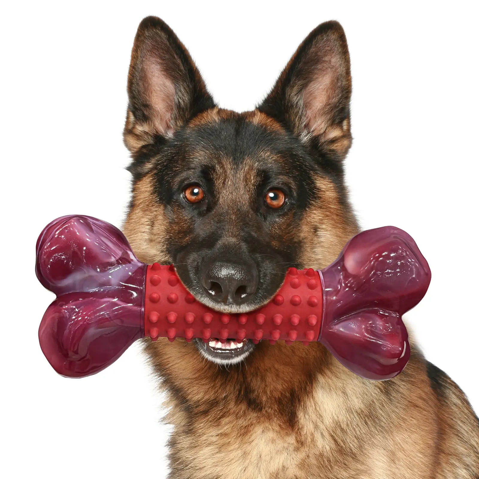 Apasiri Tough Beef-Flavored Nylon & Rubber Dog Chew Bone, 8" Chew Toy for Medium to Large Aggressive Chewer Dogs