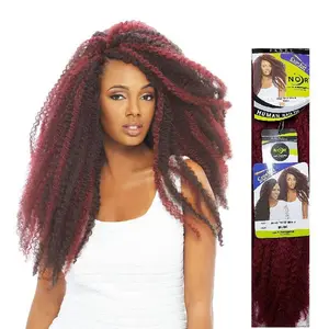 JANET COLLECTION NOIR AFRO TWIST BRAID CROCHET 2X  MARLEY STYLE