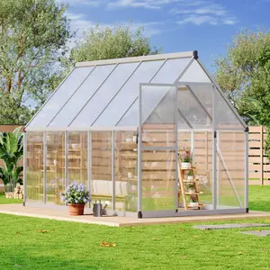 Garvee 6 x 9FT Heavy Outdoor Greenhouses, Silver
