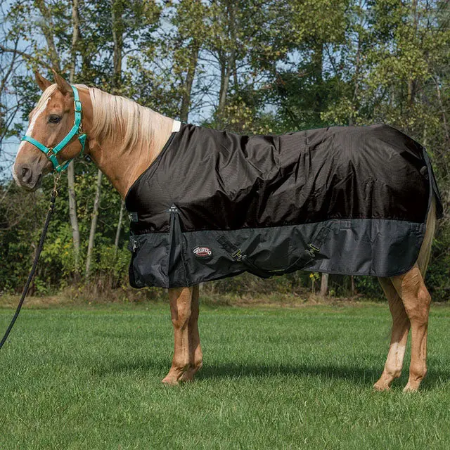 Weaver Leather Light/Medium Weight Economy Turnout Blanket- Black