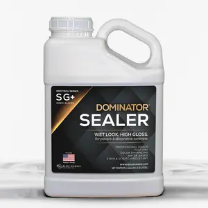 DOMINATOR SG+ -  High Gloss Paver Sealer (Wet Look)