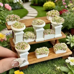 Miniature Plant Selections, Mini Dollhouse Flower Box, Micro Garden Decorations, Tiny Photography Props, Perfect Gift Choice, Garden Sculptures Statues