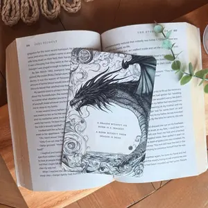 Fourth Wing Kindle Insert Laminated Cardstock for Kindle Case, Holiday Holographic Kindle Paperwhite Insert