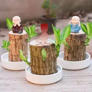 Brazilian Wood, Brazil Lucky Wood, Includes Basin and Figurine,  Plant, Potted Decor for Home Office Desktop Ornaments