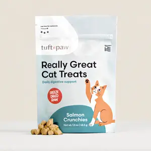Really Great Cat Treats - Salmon Crunchies - Daily Digestive Support, Freeze-dried Raw