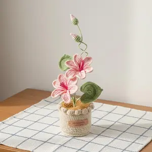 Crochet Flower in Pot, Crochet Potted Plant, Home, Desk Decoration, Birthday, Mother's Day Gift for Her