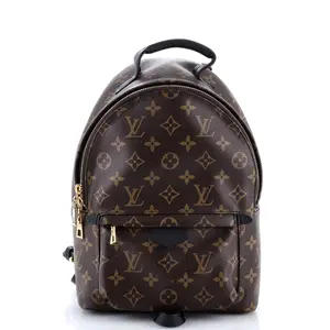Pre-owned Louis Vuitton Canvas Coated Backpacks Palm Springs Backpack Monogram Canvas PM by Rebag